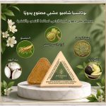 شامبو عشبي